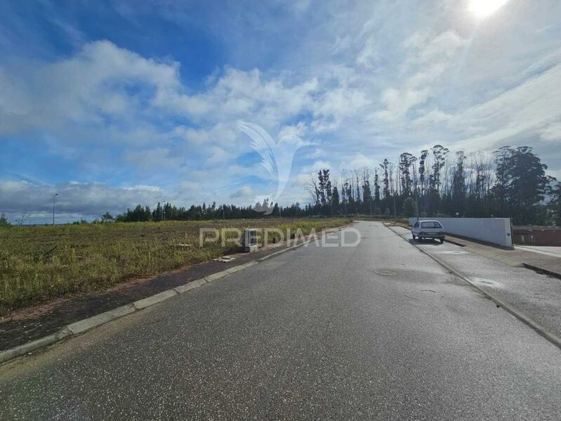 Plot of land with 419sqm Penacova