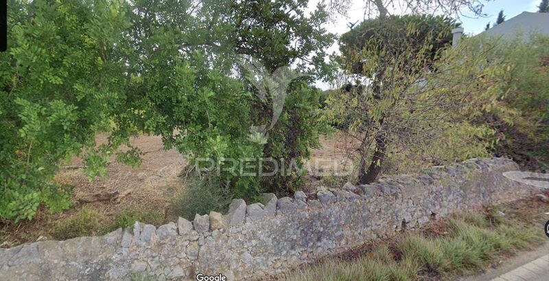 Land Rustic with 270sqm São Brás de Alportel - cork oaks