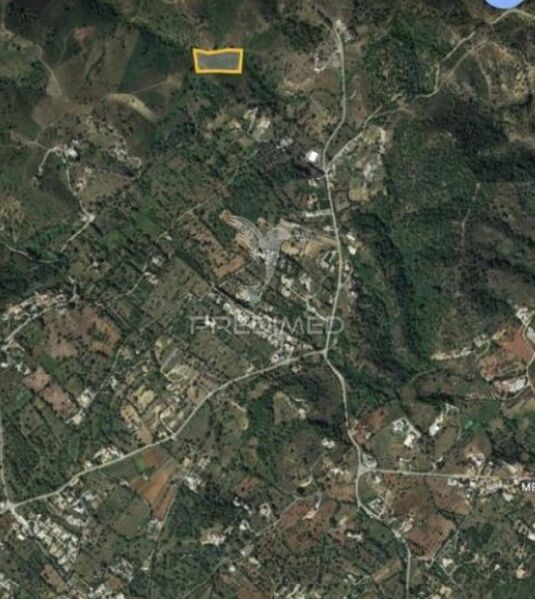 Land with 17216sqm São Brás de Alportel