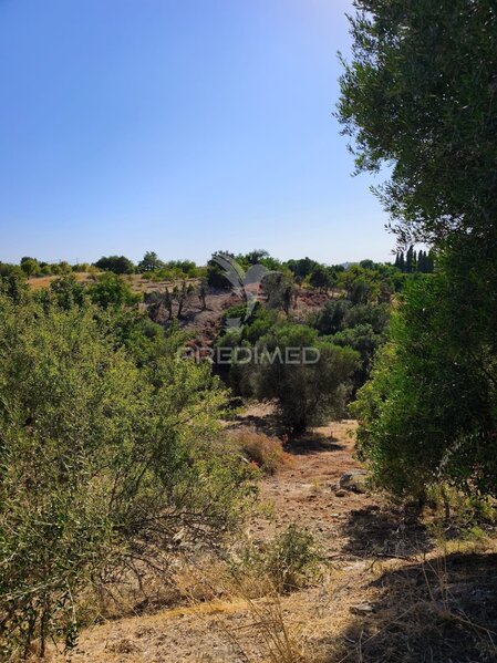 Land Rustic with 8160sqm Paderne Albufeira - water