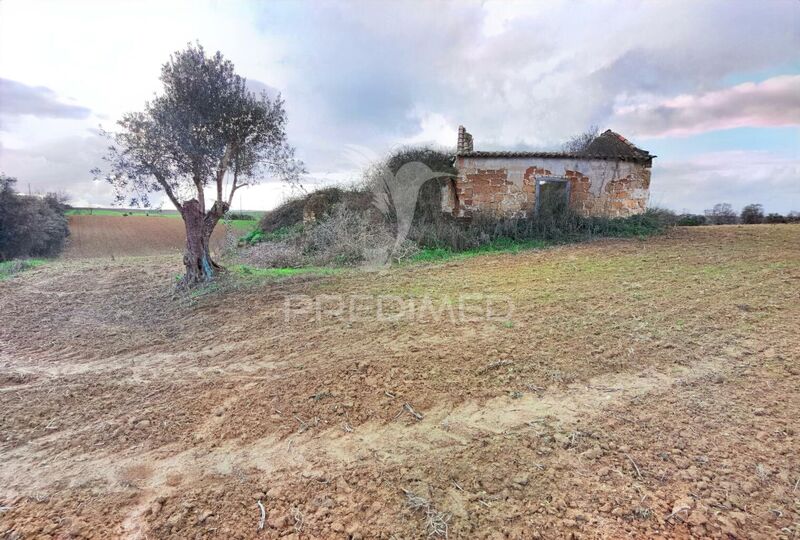 Land Urban/agricultural with 8960sqm Santarém - electricity, water, construction viability