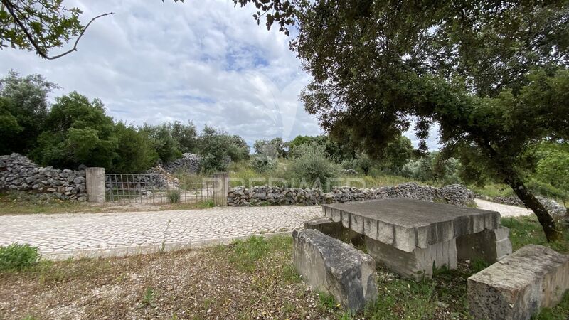 Land Rustic with 2070sqm Alcanena