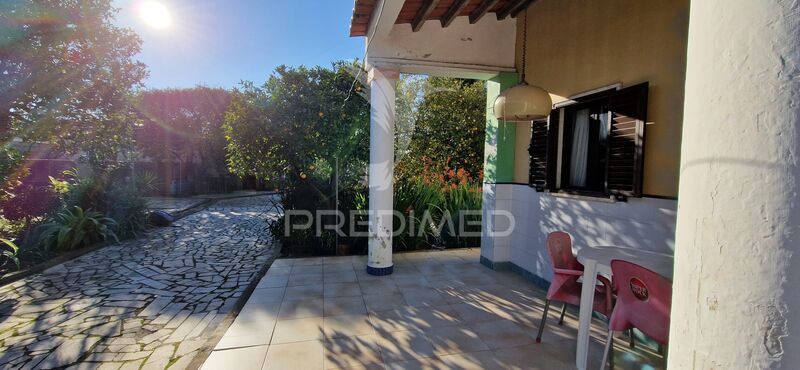 Farm with house 3 bedrooms Setúbal - fruit trees
