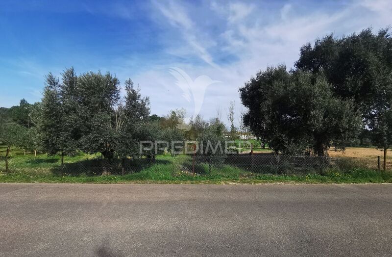 Lote de terreno Urbano com 965.90m2 Vila Nova da Barquinha
