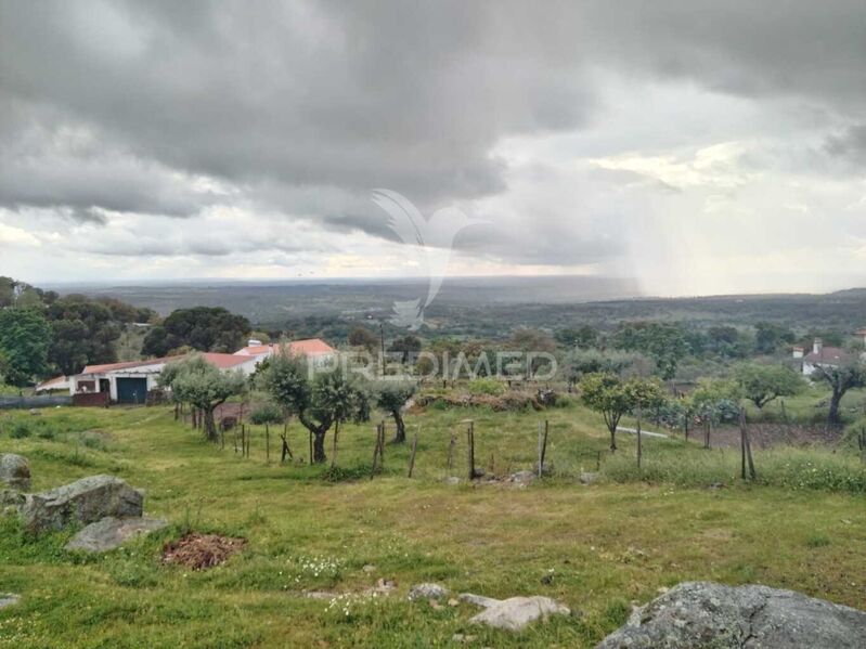 Land Agricultural with 1286sqm Portalegre - electricity, fruit trees, water