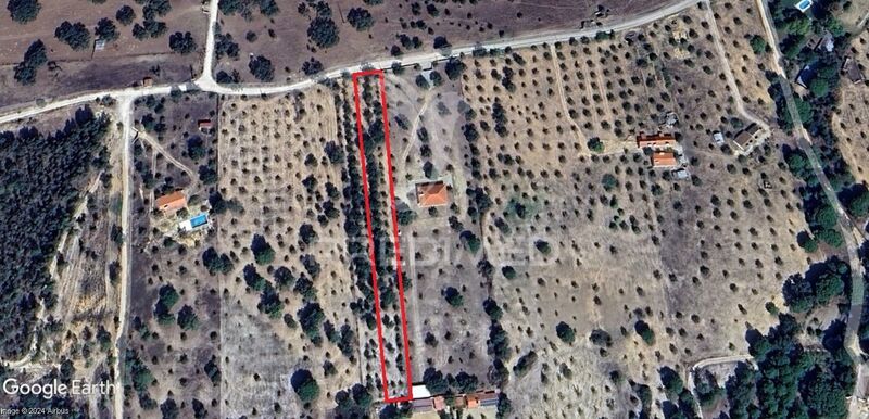 Plot Rustic with 5375sqm Montargil Ponte de Sor - water, construction viability, electricity