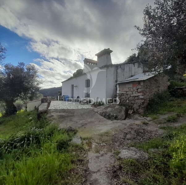 Farm 3 bedrooms Portalegre - olive trees, cork oaks, tank