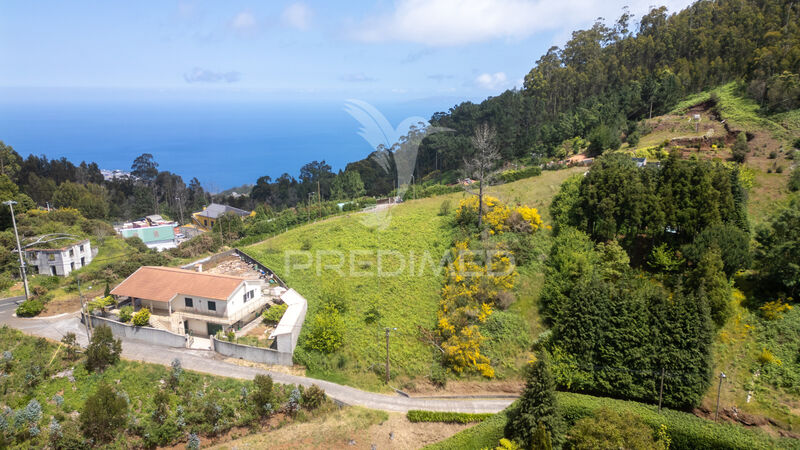 Land with 2390sqm Camacha Santa Cruz - electricity