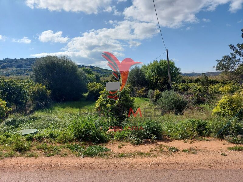 Land Agricultural with 2600sqm Silves - orange trees, well, olive trees, water, fruit trees
