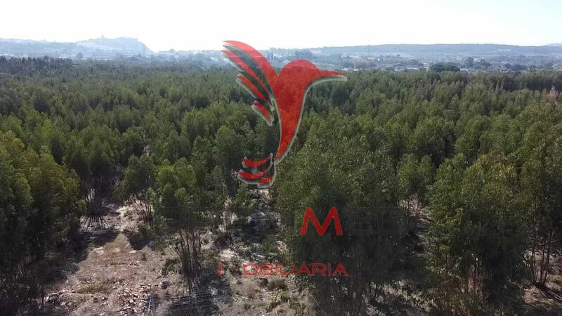 Land with 8000sqm Palmela