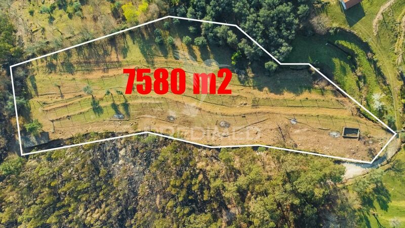 Land Agricultural with 7580sqm Valdosende Terras de Bouro - olive trees, water