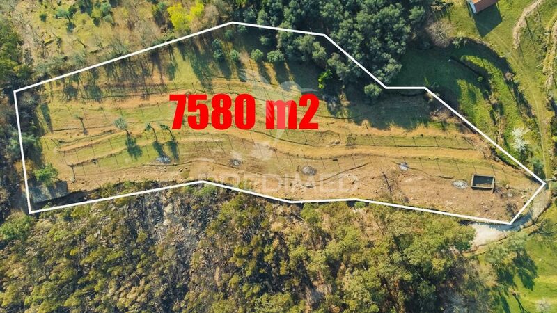 Land uusi with 7580sqm Valdosende Terras de Bouro