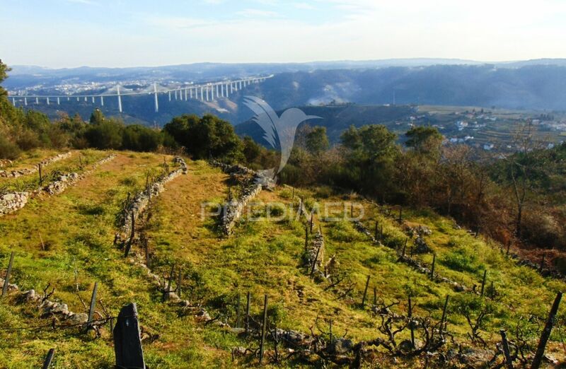 Land Agricultural with 3624sqm Cumieira Santa Marta de Penaguião - excellent access