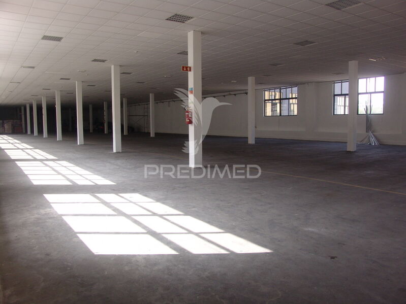 Galpão Industrial com 1620m2 Paranhos Porto - banheiro, teto falso, alarme, estacionamento