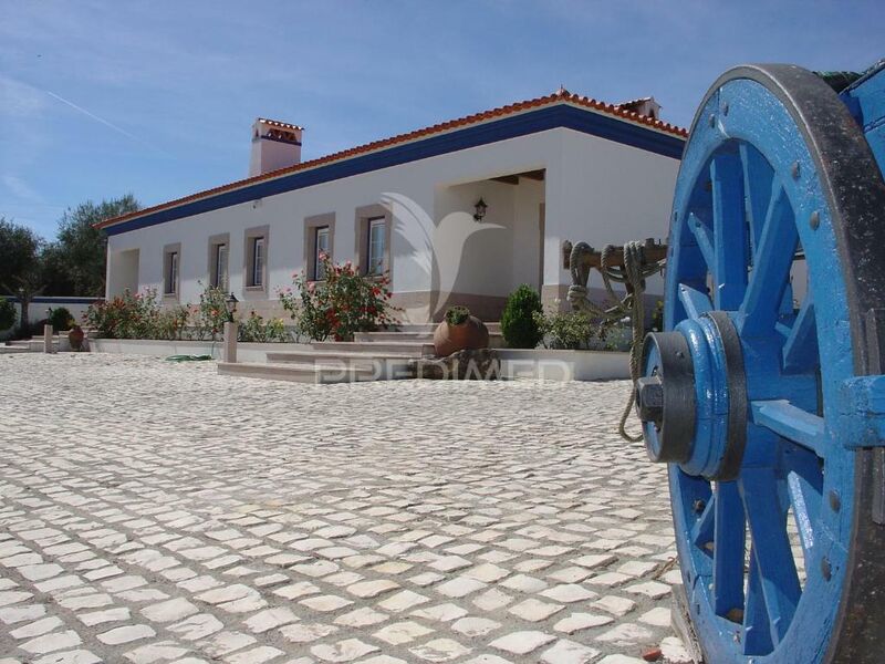 Farm 7 bedrooms Alpalhão Nisa - air conditioning, olive trees, swimming pool, equipped, barbecue, tennis court