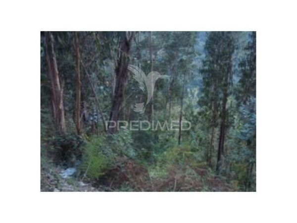 Plot Rustic with 33000sqm Marco de Canaveses - good access