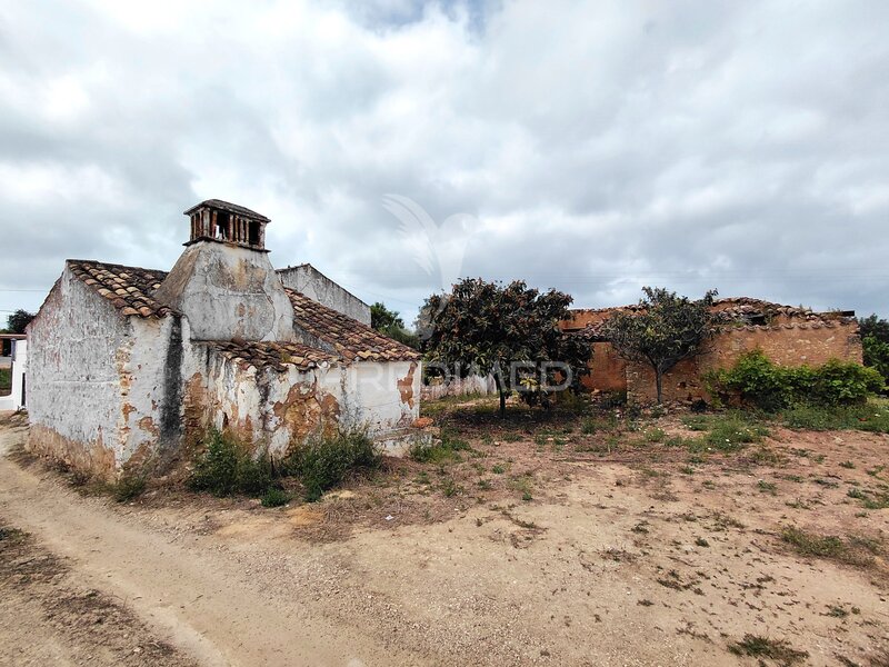 House Olhão