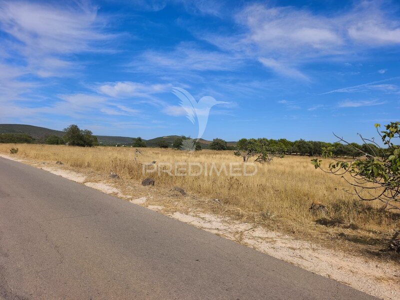 Land Rustic with 24360sqm Paderne Albufeira - water, electricity