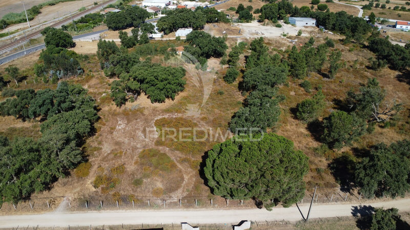 Land with 49500sqm Pinhal Novo Palmela - well, olive trees