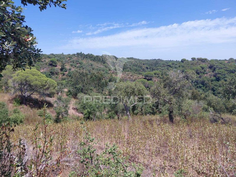 Quinta/Herdade São Francisco da Serra Santiago do Cacém - sobreiros, electricidade