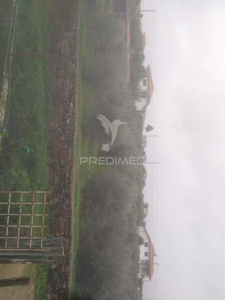 Land with 4100sqm Fontelo Armamar