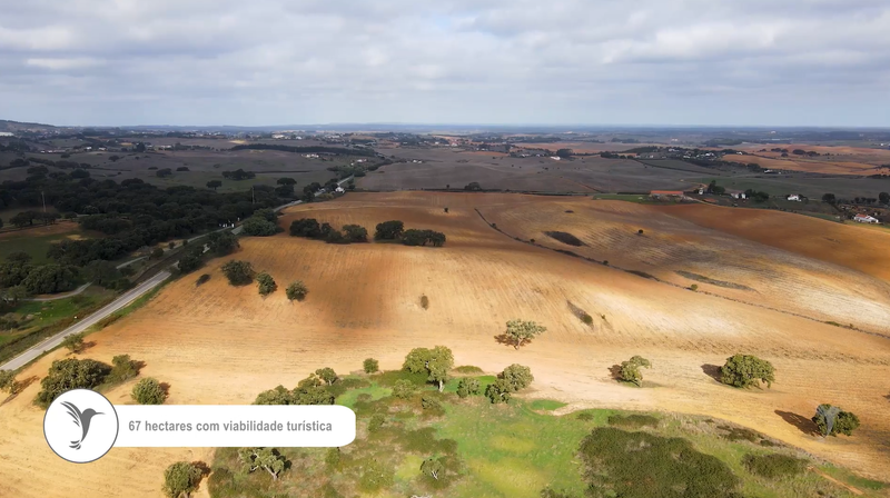 Terreno T0 com 670000m2 Cercal Santiago do Cacém