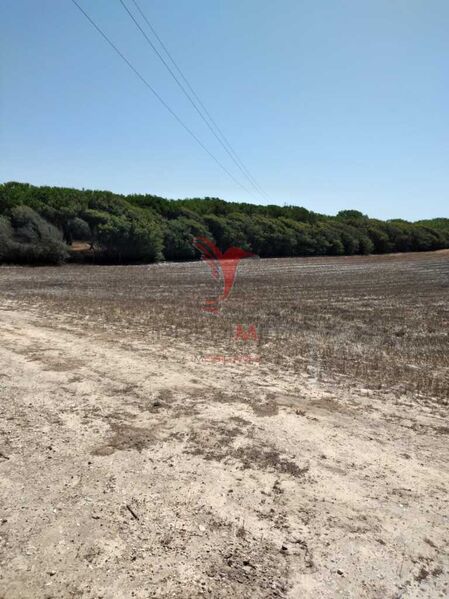 Land with 7200sqm Porto Covo Sines