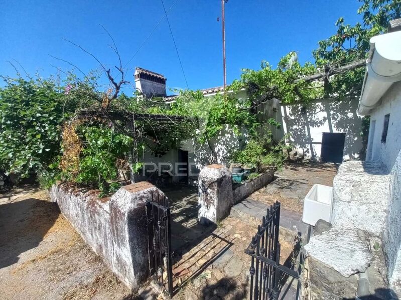Small farm 2 bedrooms Portalegre - garden, mains water, electricity, water