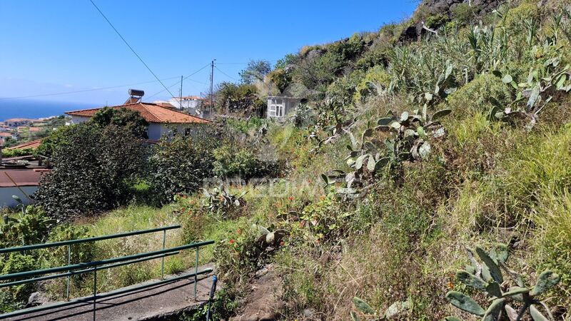 Terreno Rústico com 300m2 Santa Cruz - zona sossegada