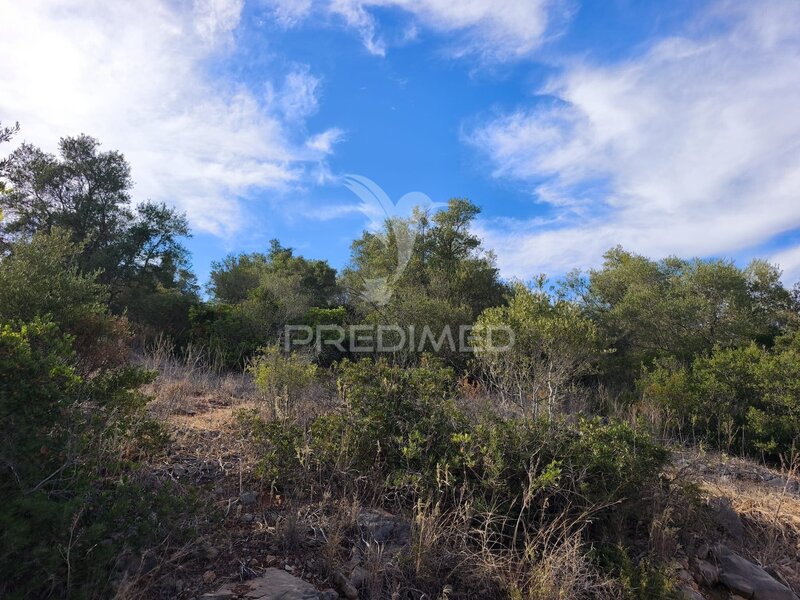 Land Rustic with 23520sqm Paderne Albufeira