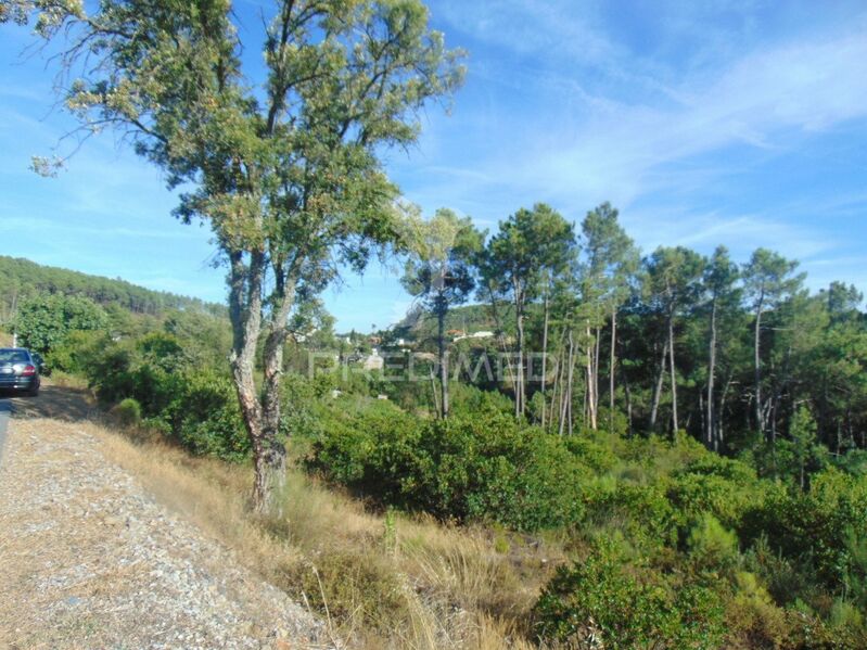 Land Rustic with 8930sqm Abaças Vila Real - excellent access, water, electricity