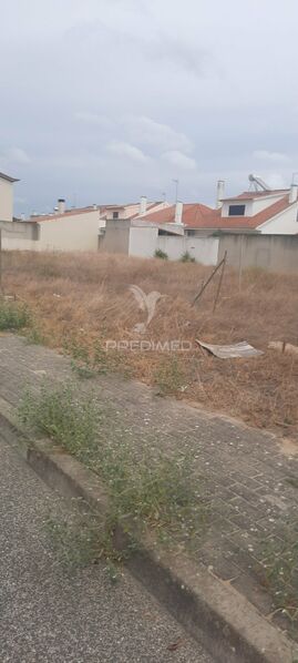 Lote de terreno para construção Salvaterra de Magos