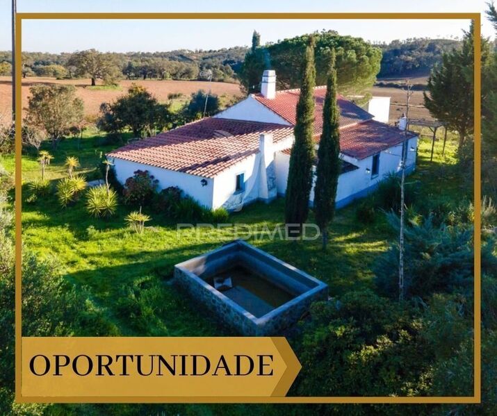 Farm avec maison V3 Santiago do Cacém - citerne, forage, électricité, chênes-liège, jardin, barbecue, eau, cheminée
