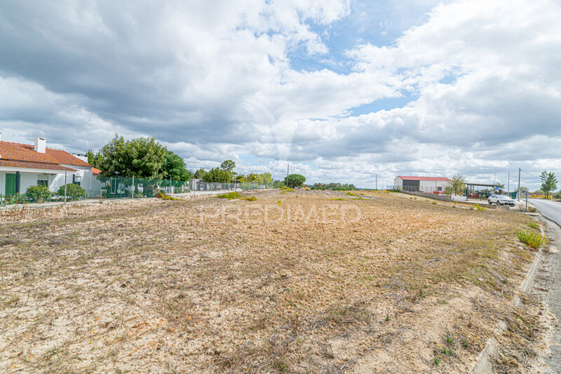Terreno Rústico com 5500m2 Coruche