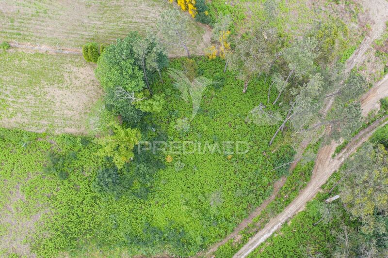 земля загородный c 1210m2 Geme Vila Verde