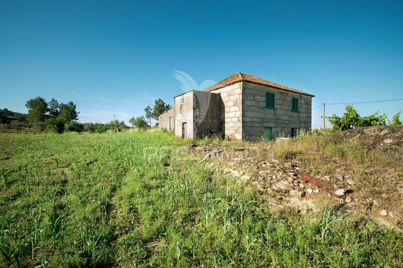 Farm 6 bedrooms with house Moreira de Rei Trancoso - well, water