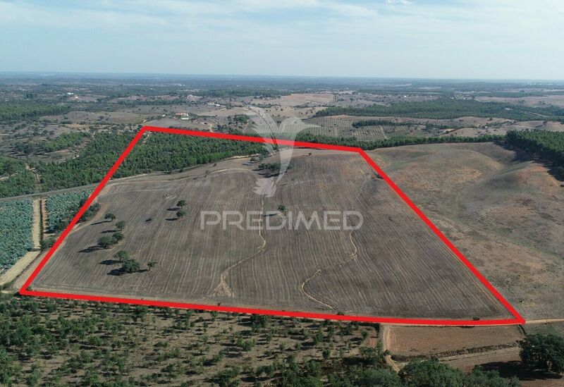 Land Rustic with 204750sqm Santiago do Cacém