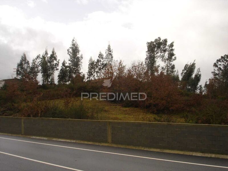 Land Rustic for construction Serzedelo Guimarães
