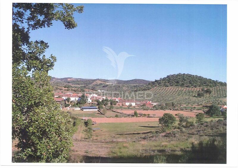 Farm Alfândega da Fé - water hole, water