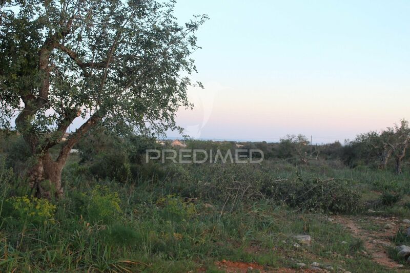 Terreno Rústico com 13840m2 Paderne Albufeira - painéis solares