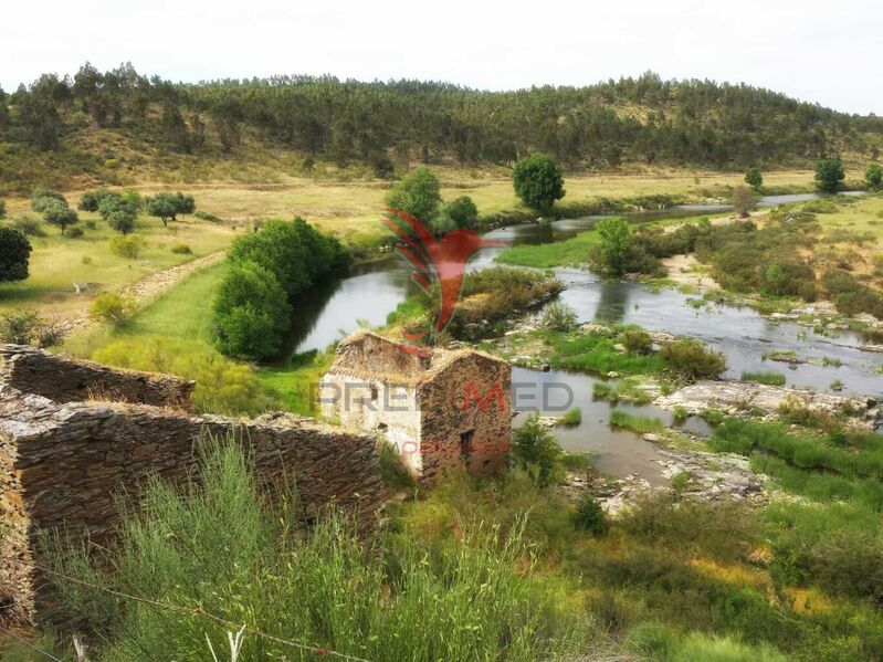 Quinta/Herdade V0 à venda Idanha-a-Nova - água, oliveiras, árvores de fruto
