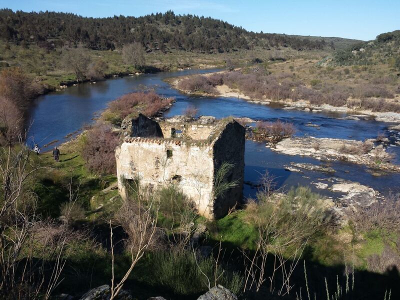 Quinta/Herdade V0 à venda Idanha-a-Nova - água, oliveiras, árvores de fruto