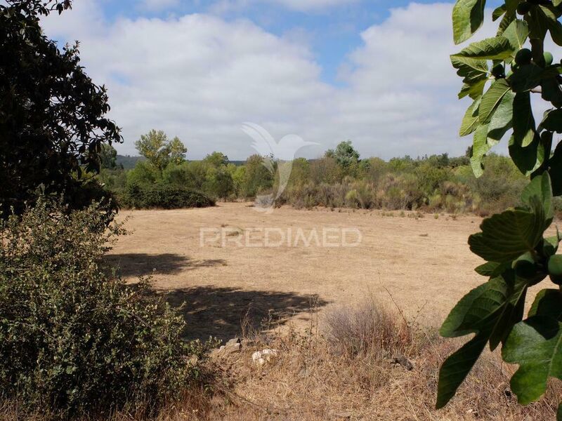 Terreno Agrícola com 4720m2 São Marcos da Serra Silves - árvores de fruto, poço, tanque