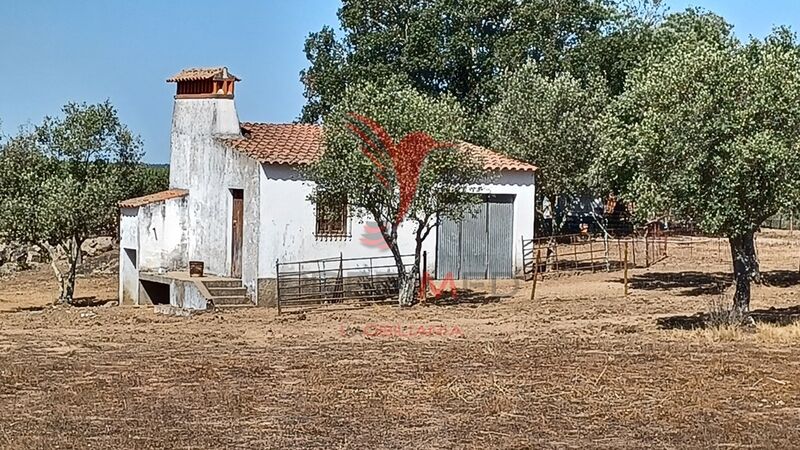 Terreno Agrícola com 45000m2 Crato para comprar - água, sobreiros, cultura arvense, poço, oliveiras