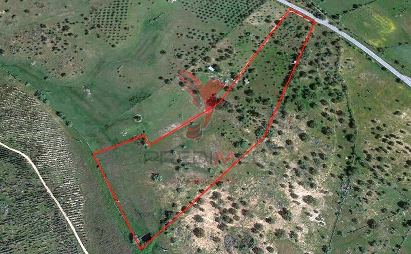 Land Agricultural with 45000sqm Crato - water, cork oaks, arable crop, well, olive trees