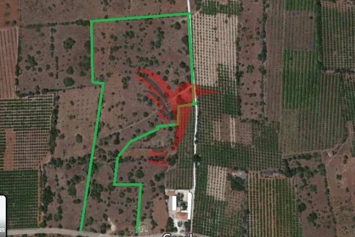 Land with 31290sqm Silves - ,