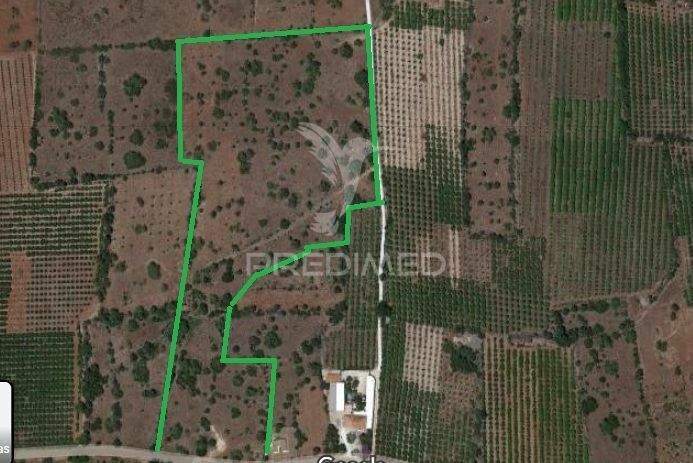 Land with 31290sqm Silves - ,