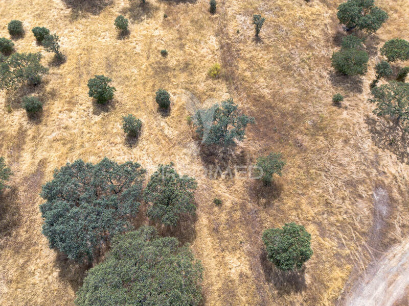 Land Rustic with 9975sqm Santo António (Capelins) Alandroal - easy access, water