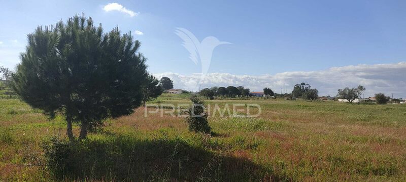 Land Agricultural with 23600sqm Salvaterra de Magos - water, electricity