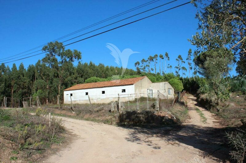 Warehouse Industrial with 144sqm Rio Maior - easy access